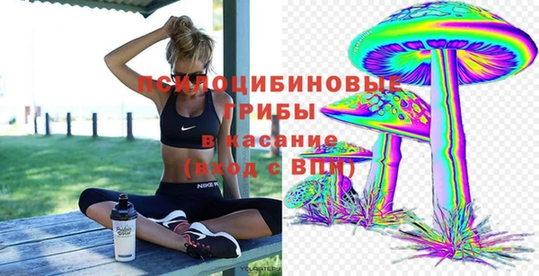 соль ск Бугульма